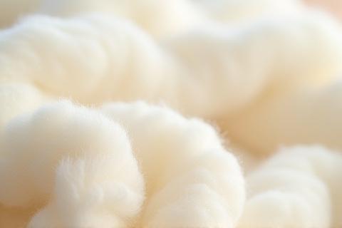 Gros plan sur une texture de laine biologique douce et naturelle.